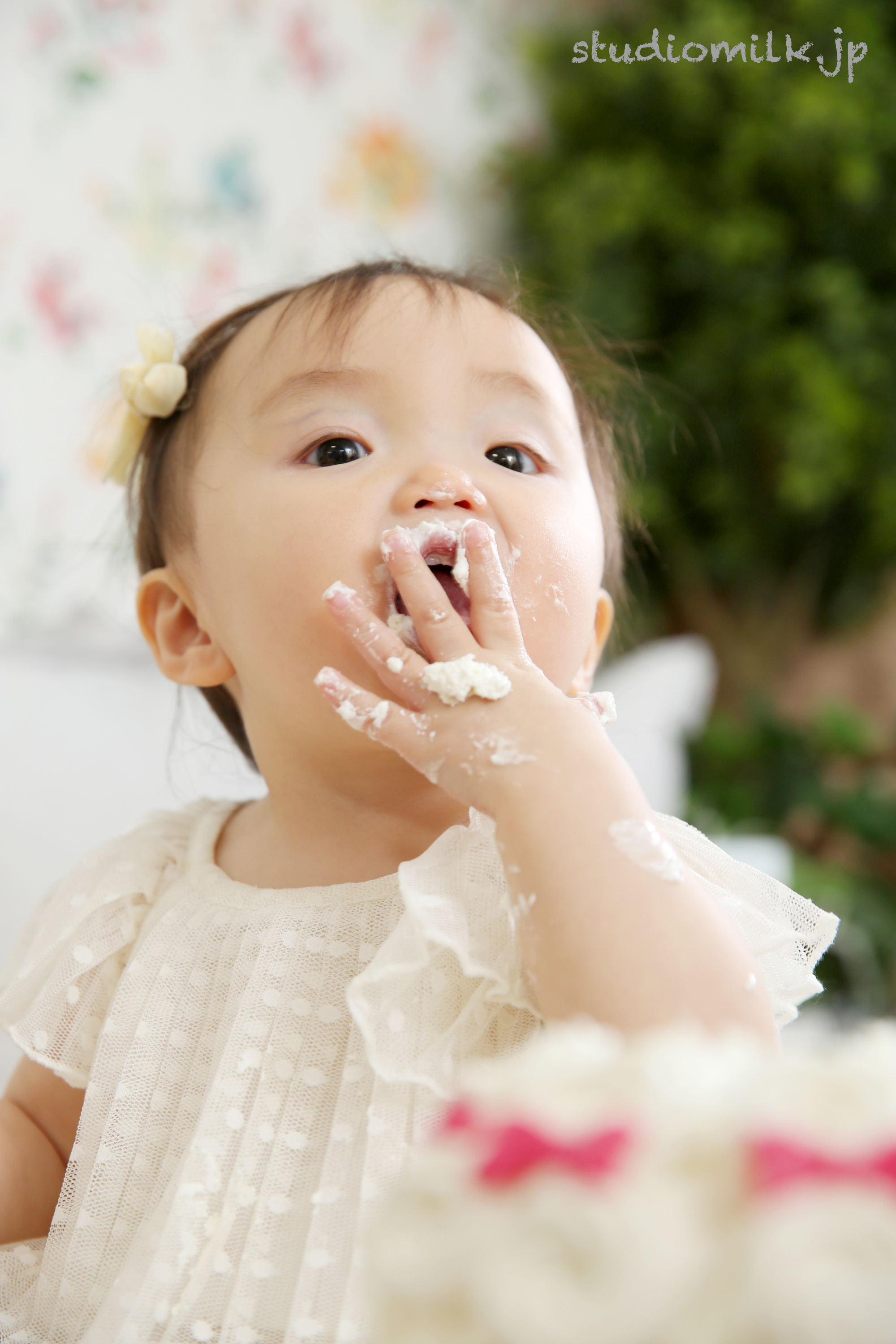 【朝フォト！】スマッシュケーキで一味違うプロの記念写真を残そう！